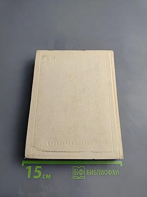 Корабельный бор