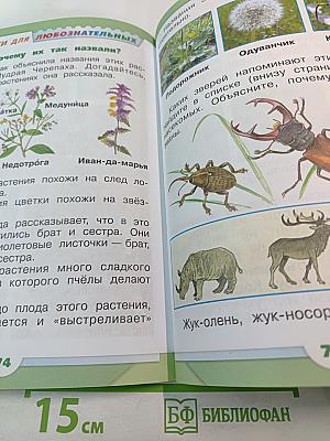 Окружающий мир, 1 класс, Часть 2