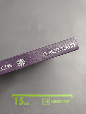 Поэтическая Россия. Петр Вяземский. Стихотворения