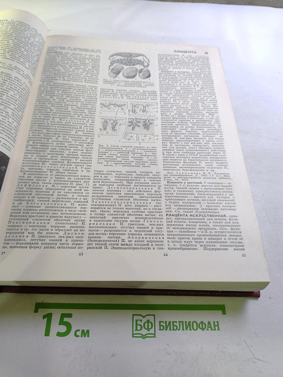 Большая Советская Энциклопедия, Том 20 (ПЛАТА - ПРОБ)