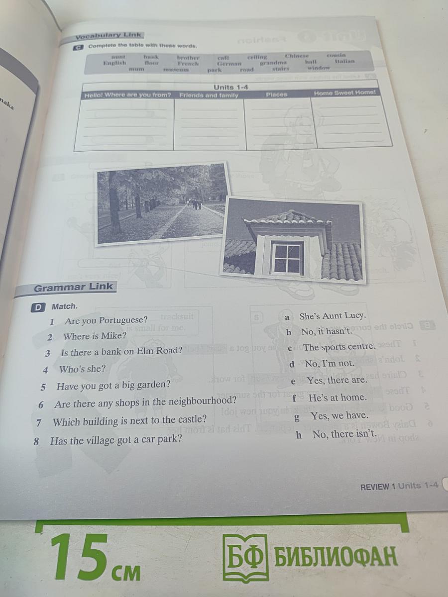 Link Up Beginner Workbook