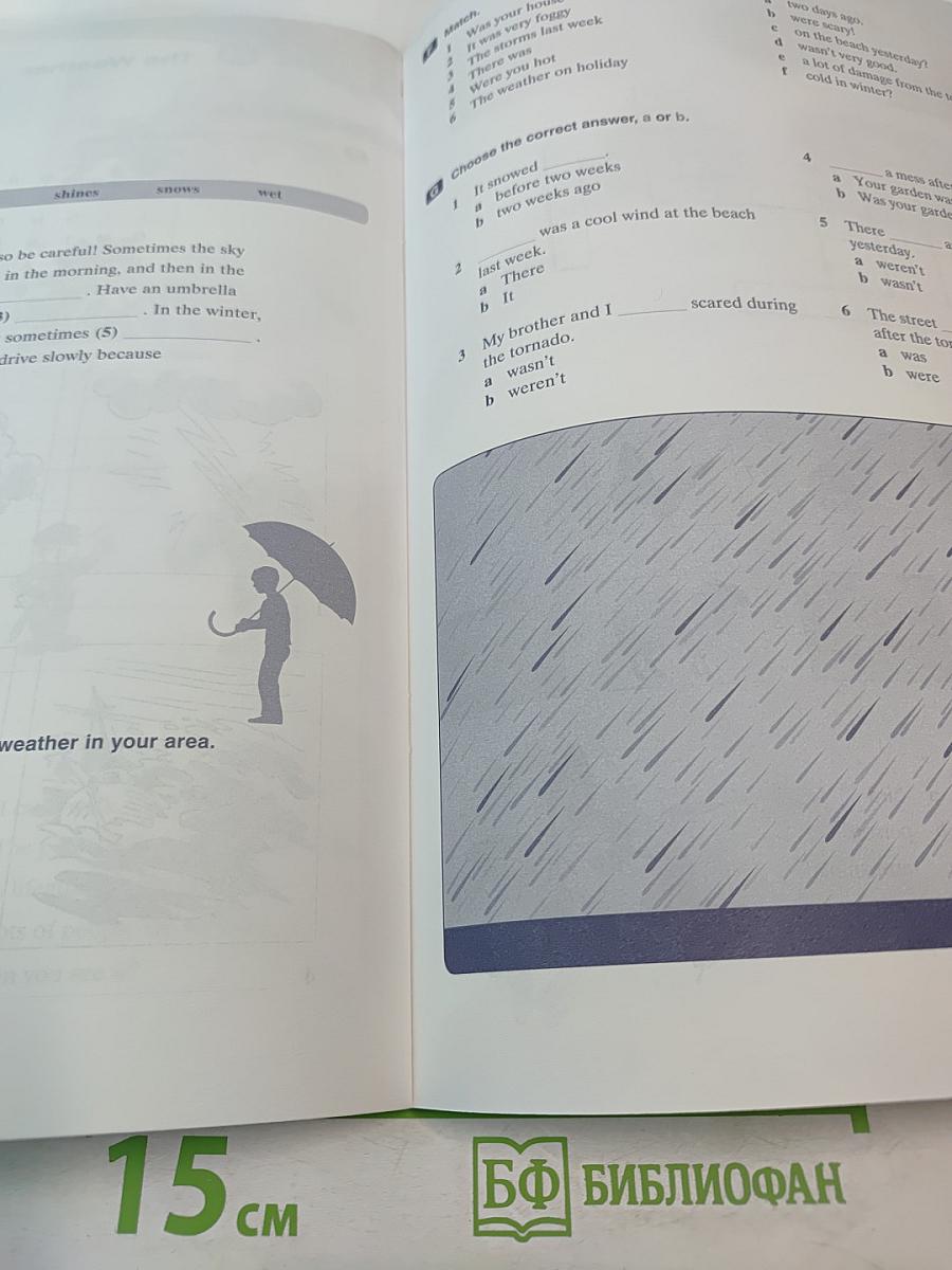 Link Up Beginner Workbook