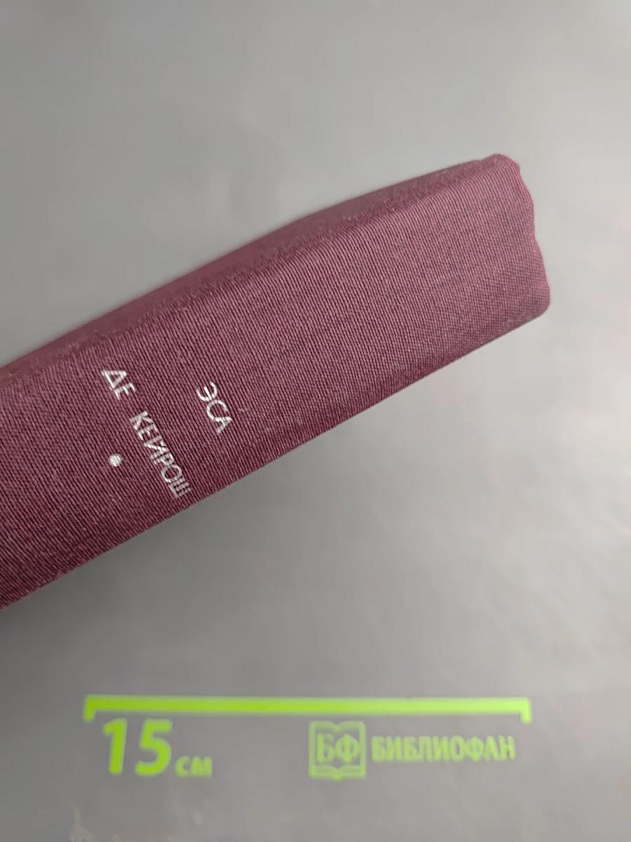 Преступление падре Амаро. Переписка Фрадике Мендеса