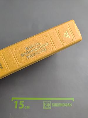 Мысль, вооруженная рифмами