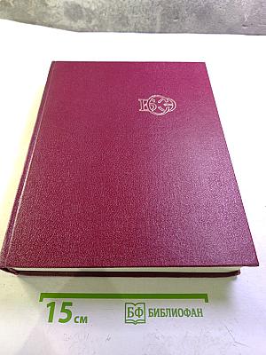 Большая Советская Энциклопедия. Том 10. Ива - Италки