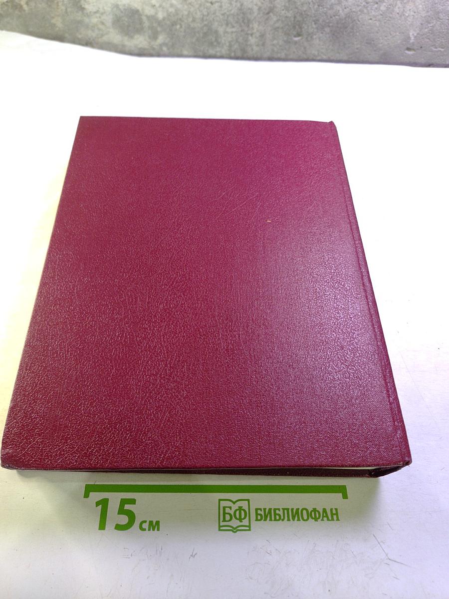 Большая Советская Энциклопедия. Том 10. Ива - Италки