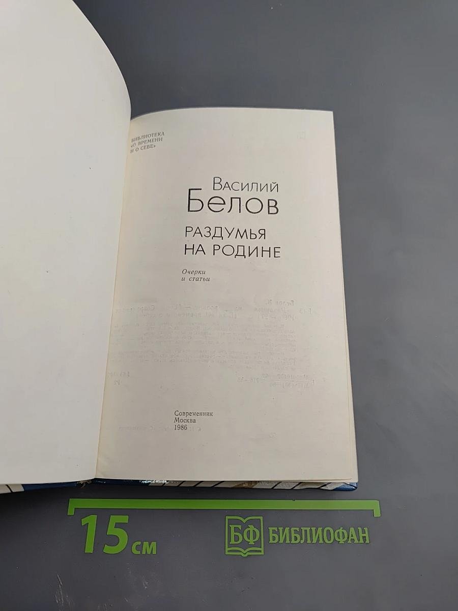 Раздумья на родине