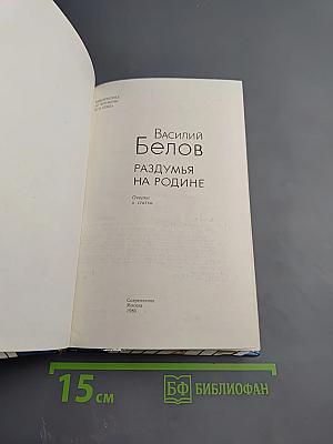 Раздумья на родине