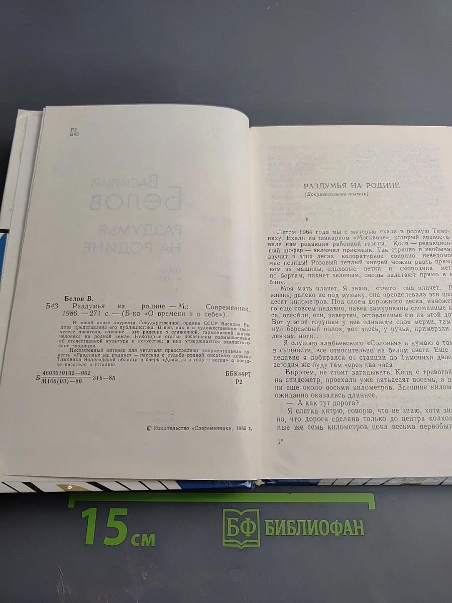 Раздумья на родине