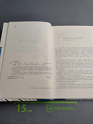 Раздумья на родине