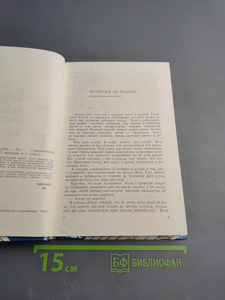 Раздумья на родине