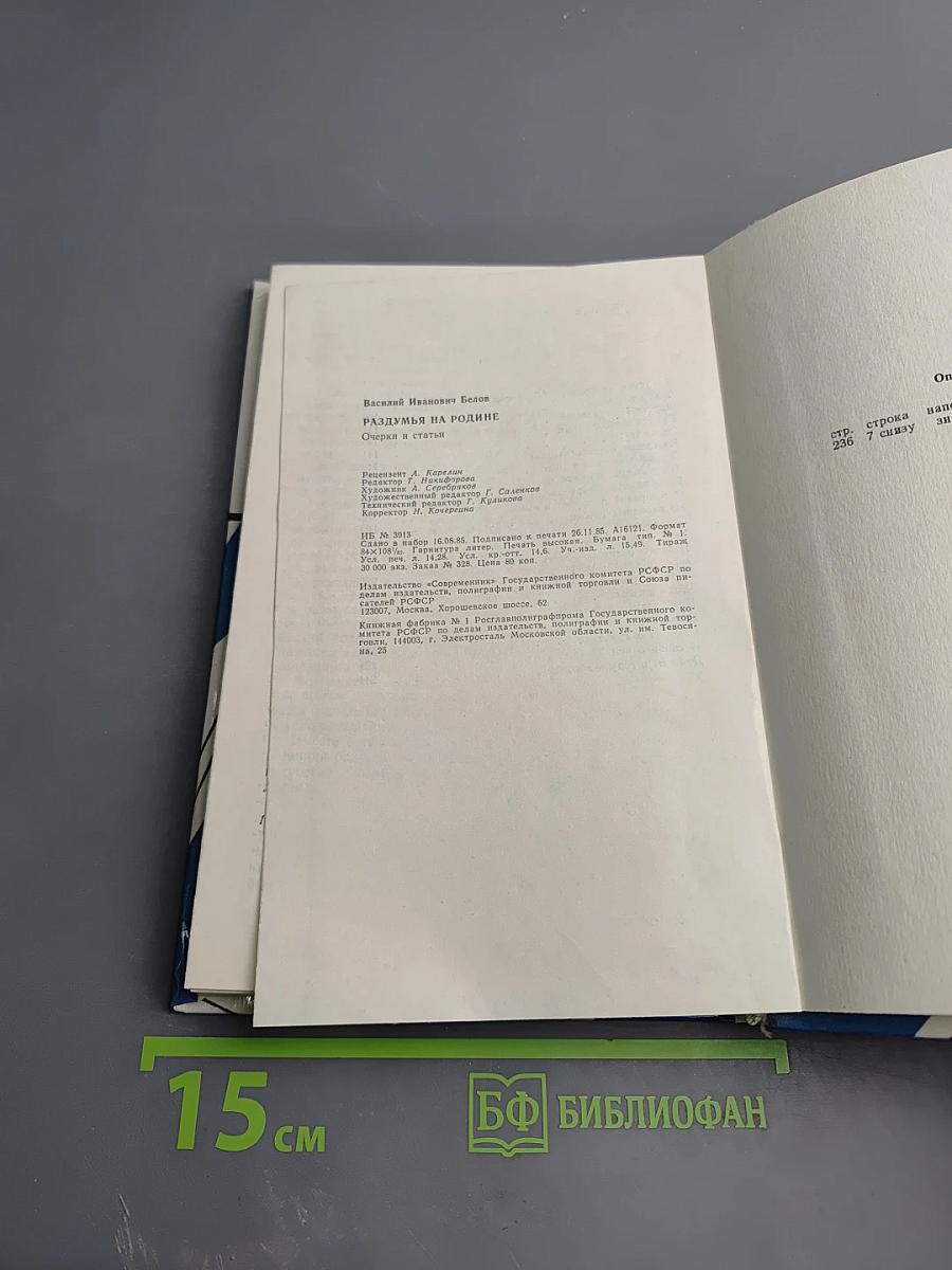 Раздумья на родине