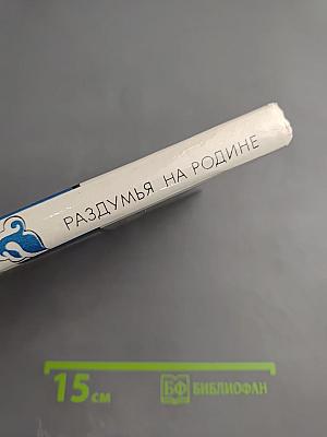 Раздумья на родине