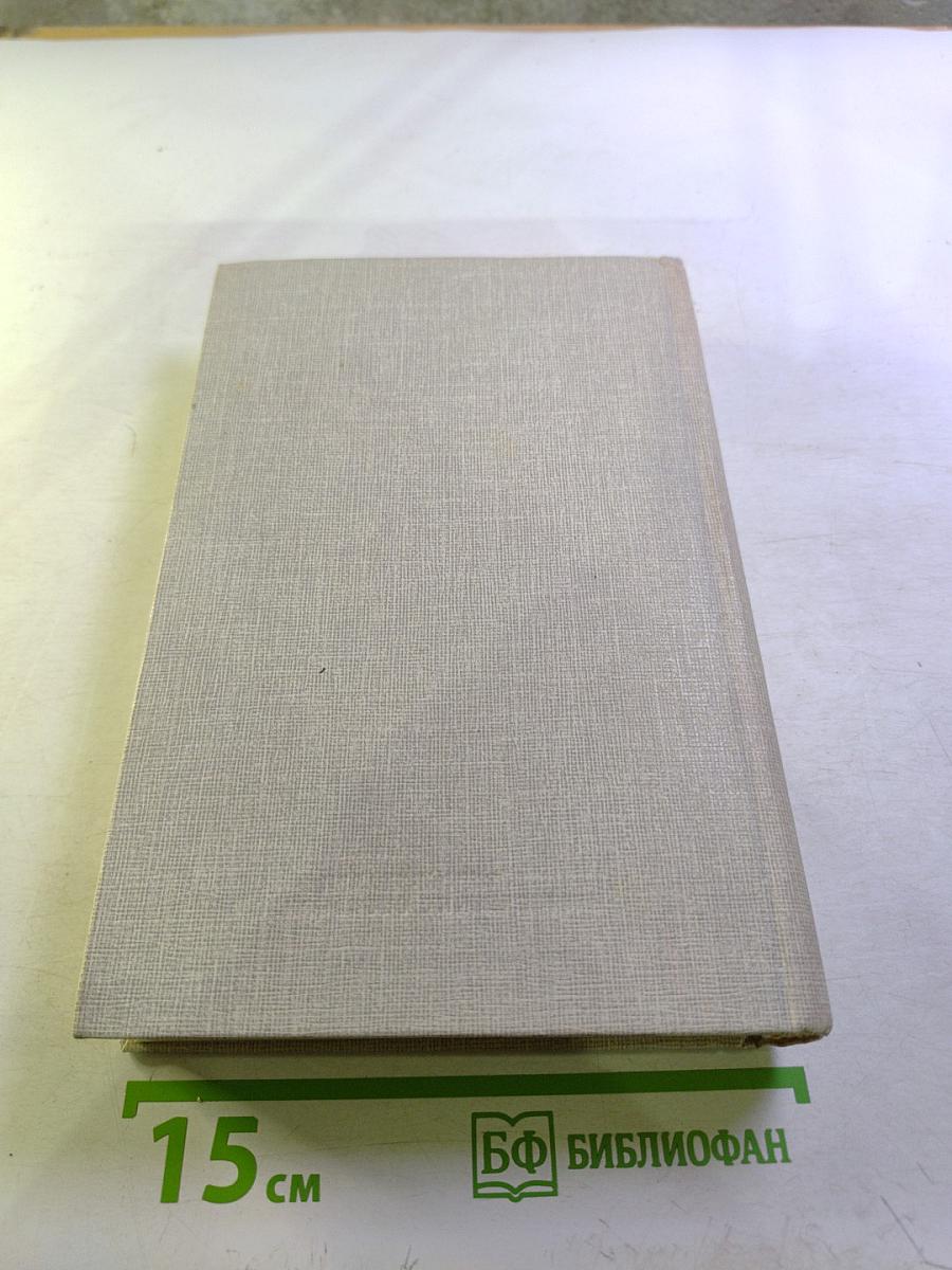 Русский очерк. 40-50-е годы XIX века