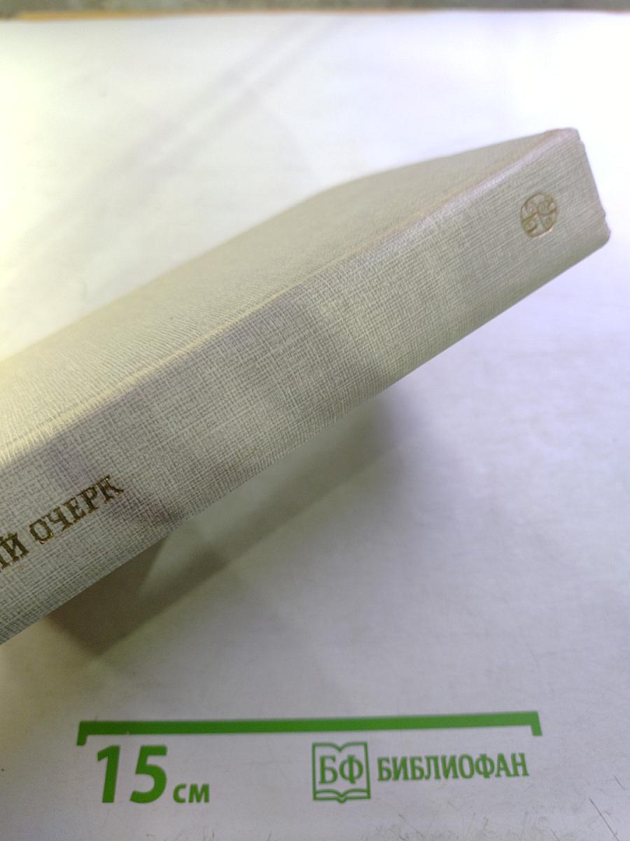 Русский очерк. 40-50-е годы XIX века