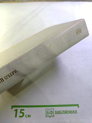 Русский очерк. 40-50-е годы XIX века