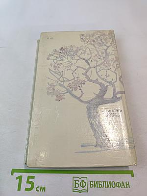 Бригантина