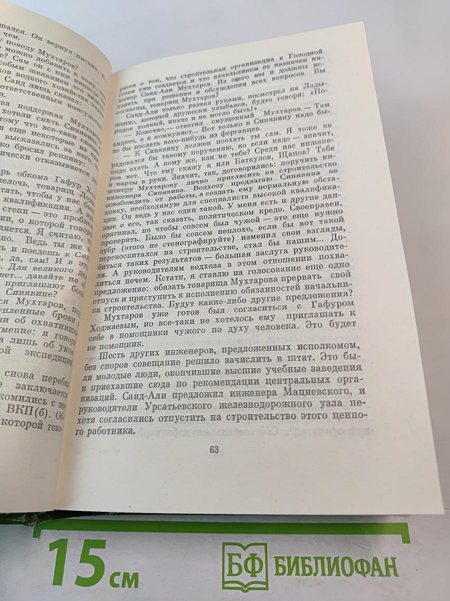 Роман Межгорья