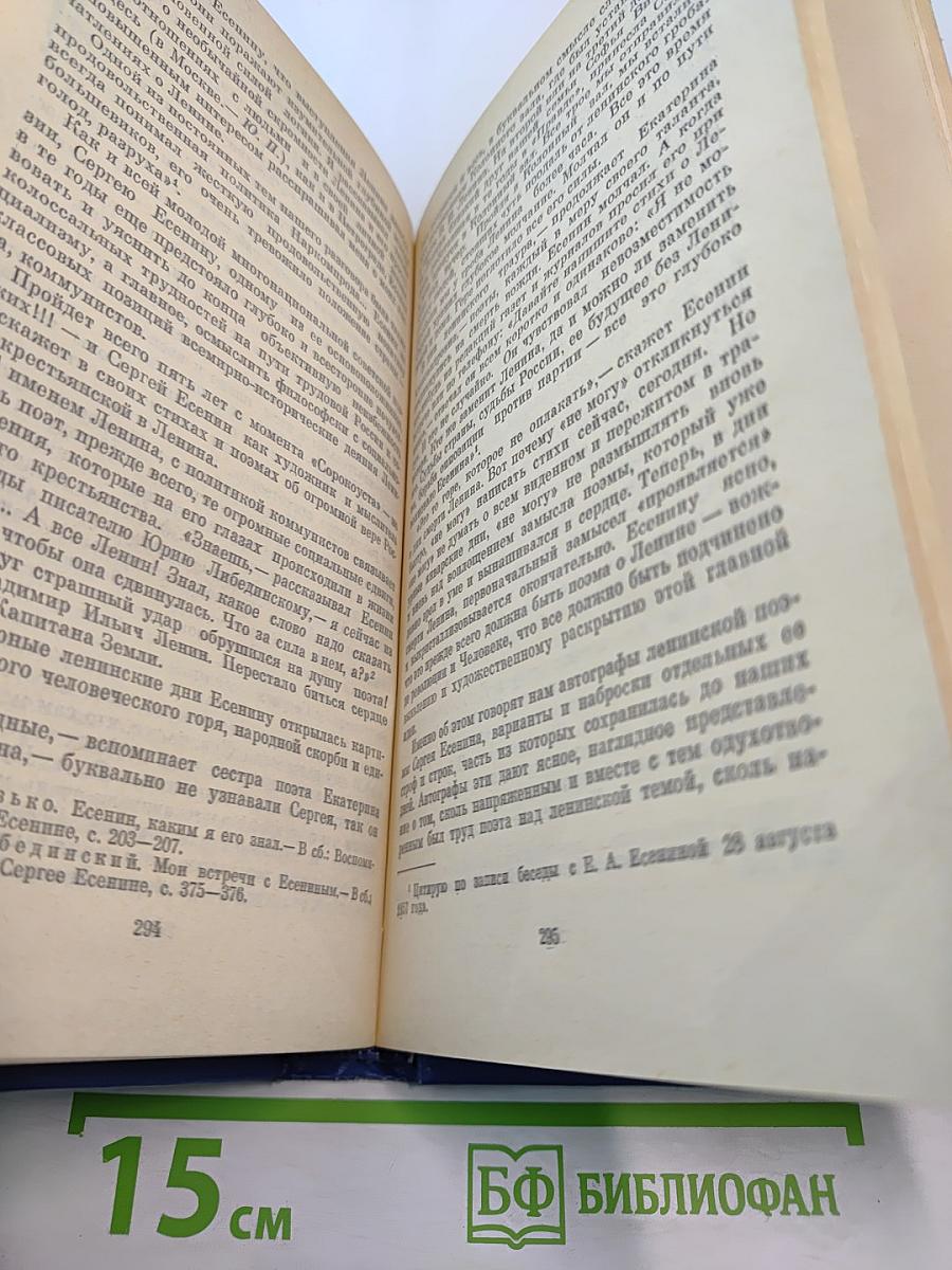 Сергей Есенин. Образ. Стихи. Эпоха