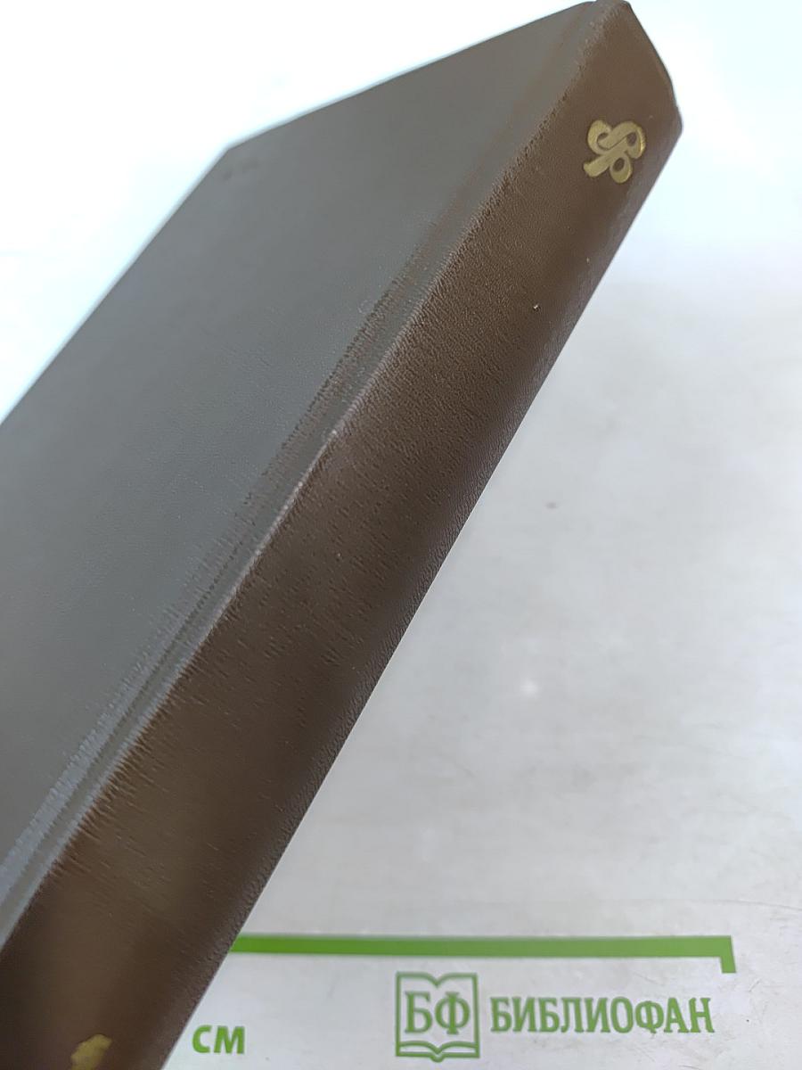 Русская философия. На путях самопознания: Страницы истории