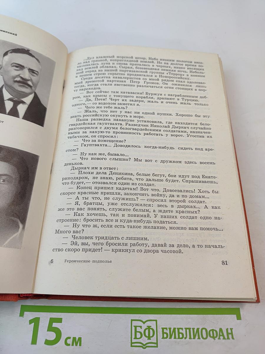 Героическое подполье. В тылу деникинской армии. Воспоминания