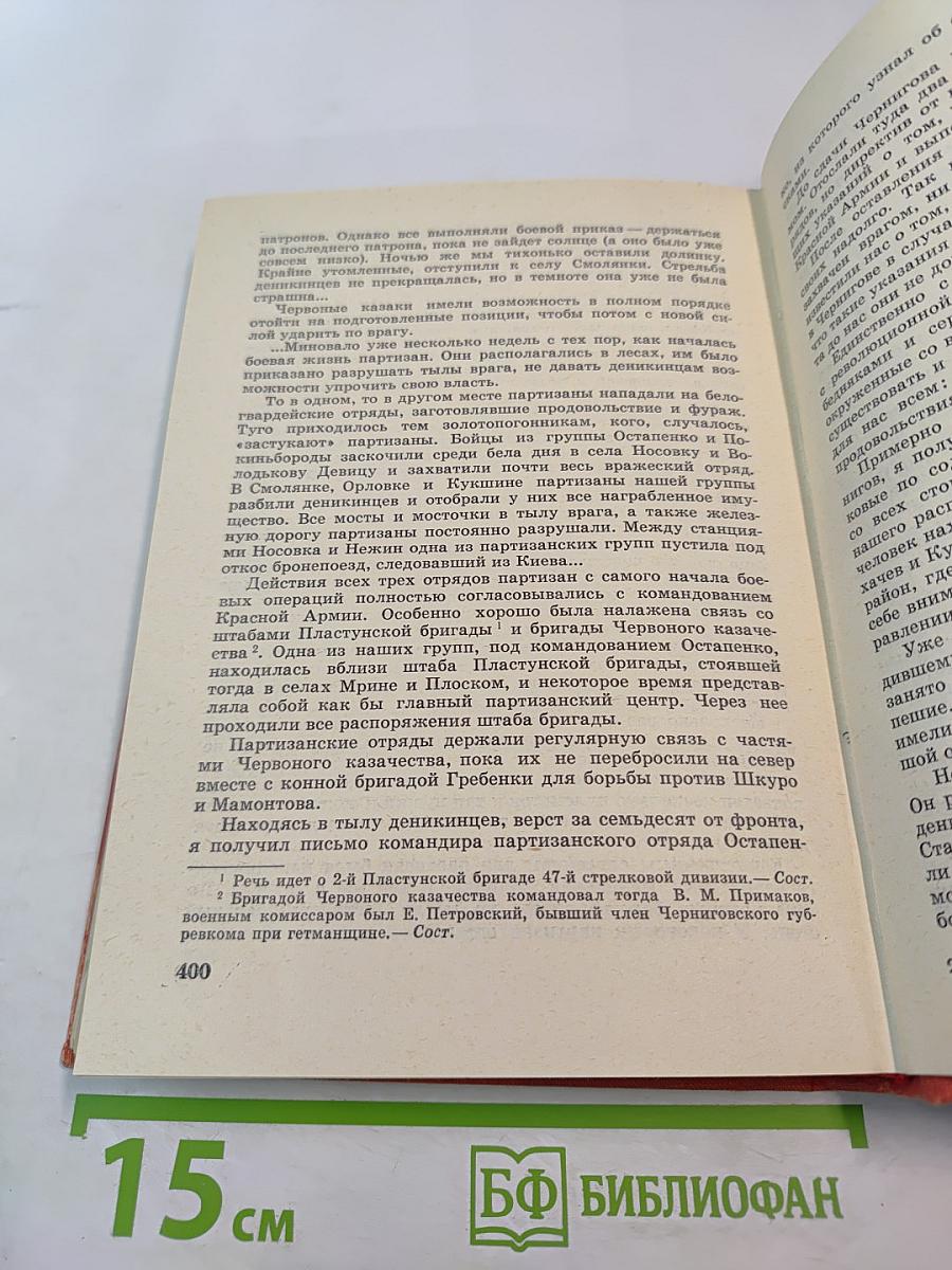 Героическое подполье. В тылу деникинской армии. Воспоминания