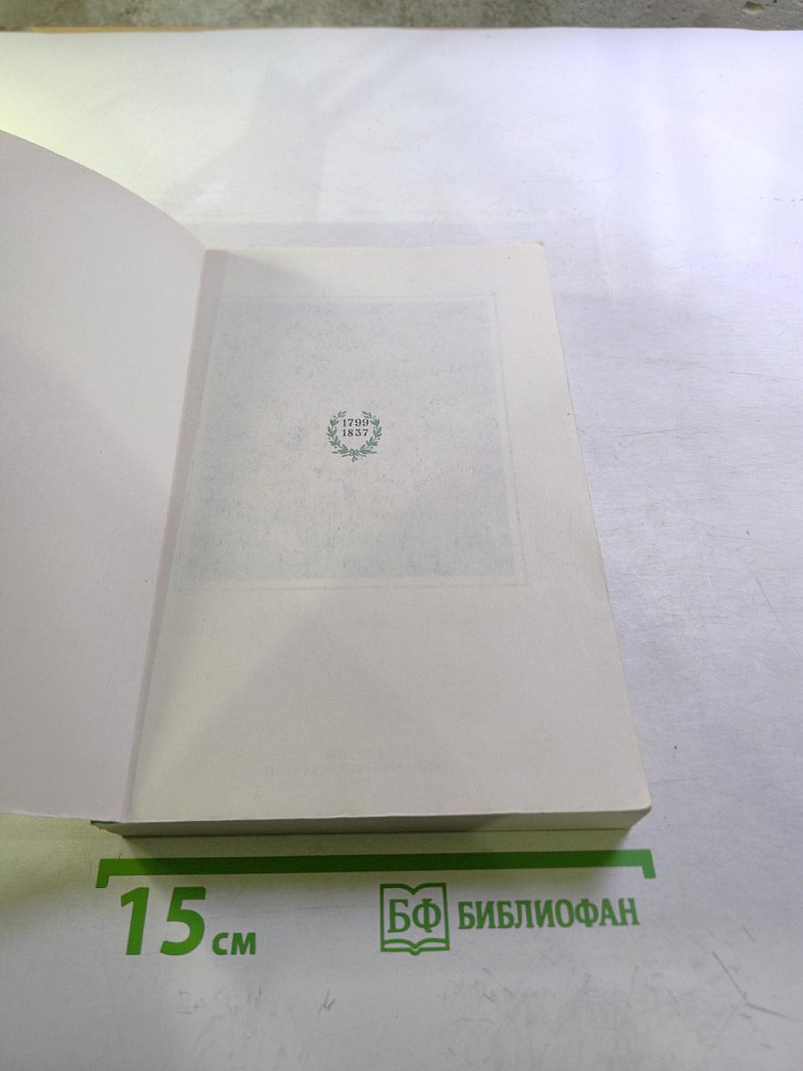 Солнце нашей поэзии