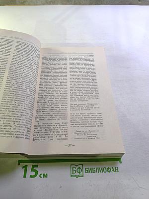 Солнце нашей поэзии