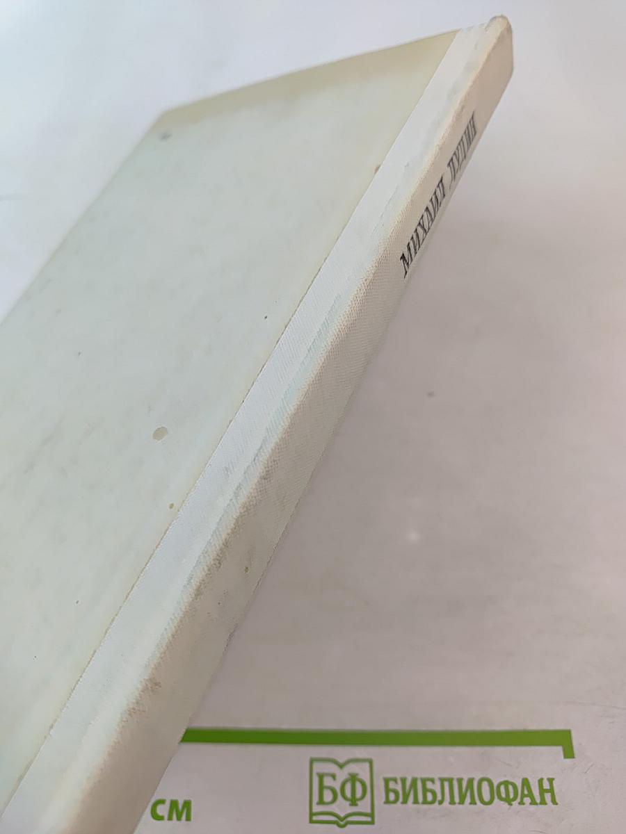 Где наша не пропадала