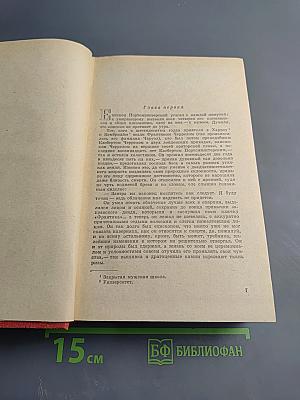 Девушка ждет