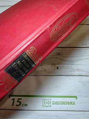 Молодые годы короля Генриха IV