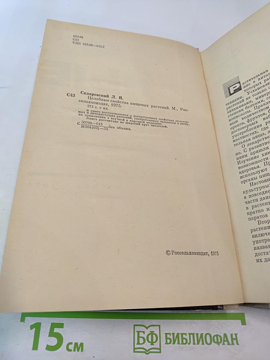 Целебные свойства пищевых растений