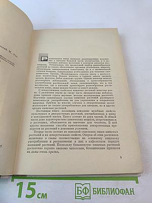 Целебные свойства пищевых растений