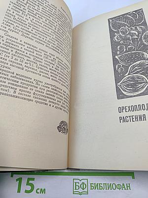 Целебные свойства пищевых растений