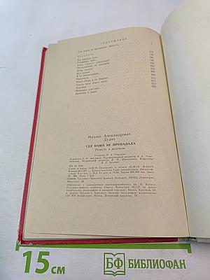 Где наша не пропадала