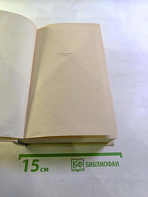 Конец главы. Девушка ждет