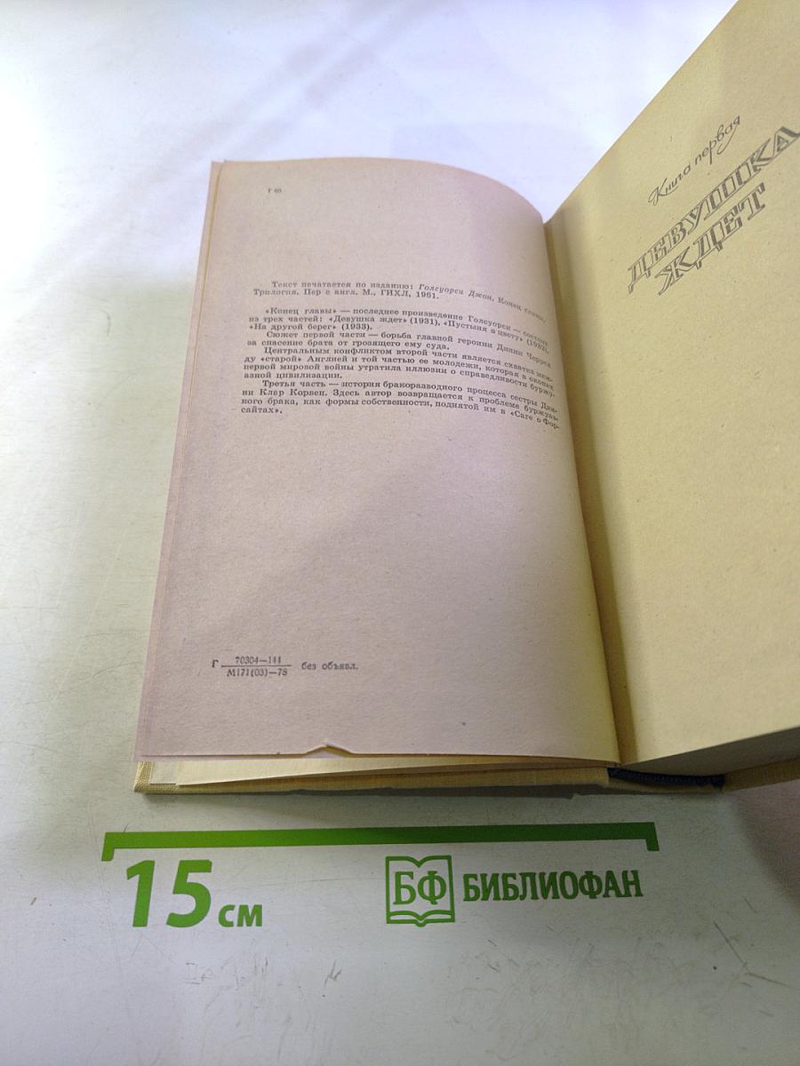 Конец главы. Девушка ждет