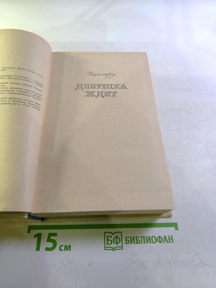 Конец главы. Девушка ждет