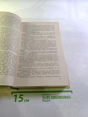 Конец главы. Девушка ждет