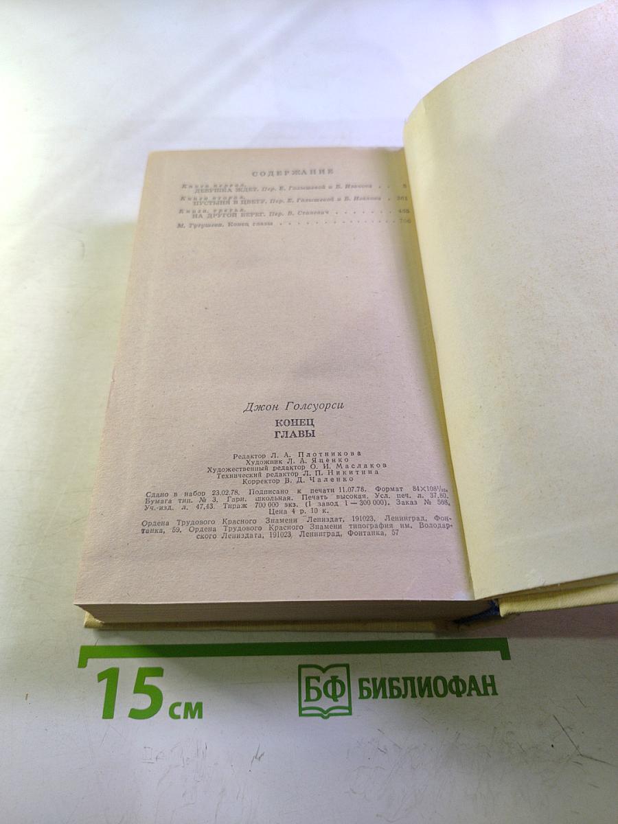 Конец главы. Девушка ждет