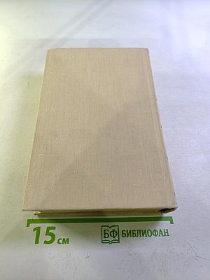 Конец главы. Девушка ждет