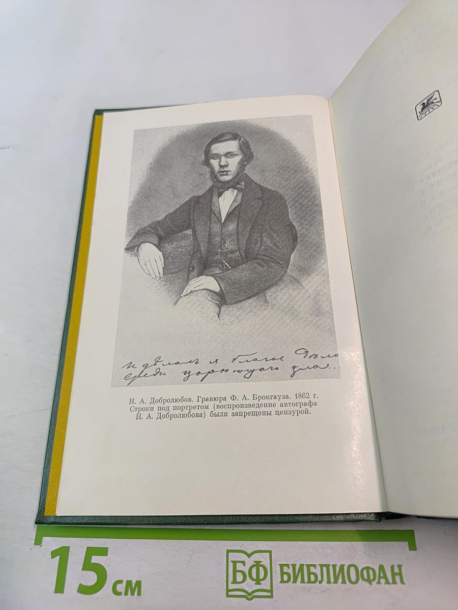 Н. А. Добролюбов в воспоминаниях современников