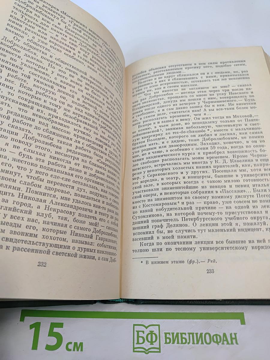 Н. А. Добролюбов в воспоминаниях современников