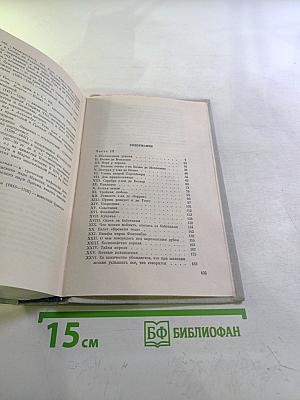 Виконт де Бражелон, или Десять лет спустя. Части 3, 4