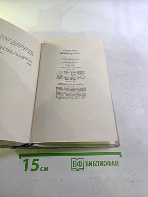 Виконт де Бражелон, или Десять лет спустя. Части 3, 4