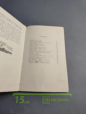 Человек заселяет свою планету