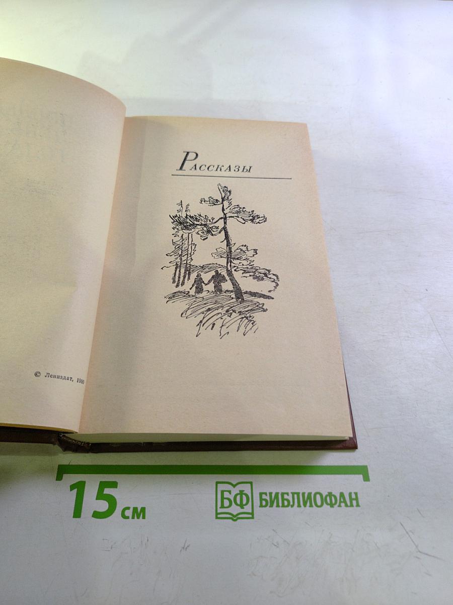 Последний день года. Рассказы. Повести