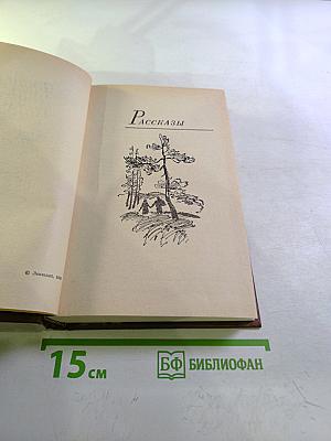 Последний день года. Рассказы. Повести