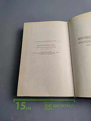 Битва железных канцлеров