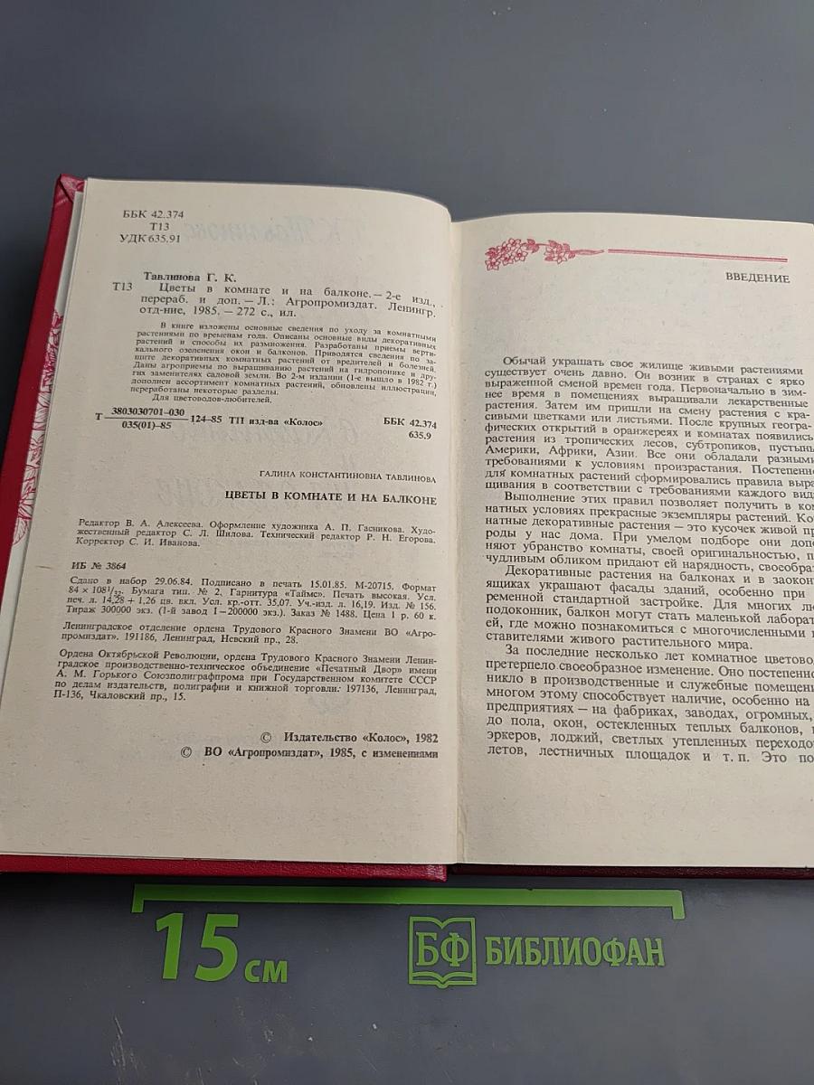 Цветы в комнате и на балконе